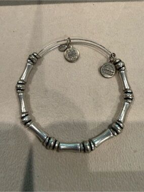 Alex and Ani Silver Bamboo Expandable Bangle